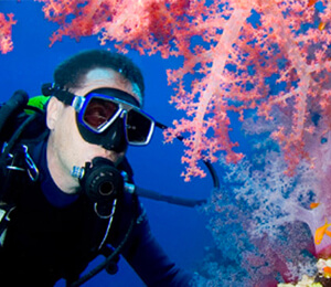 Key West Scuba Diving