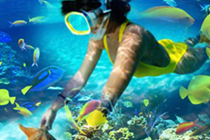 Key West Snorkeling Tours