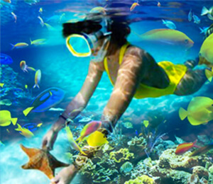 Key West Snorkeling Tours