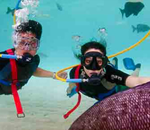 Key West Snuba Diving