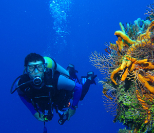 Scuba Diving in Key West