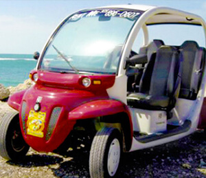 Key West Electric Car Rentals